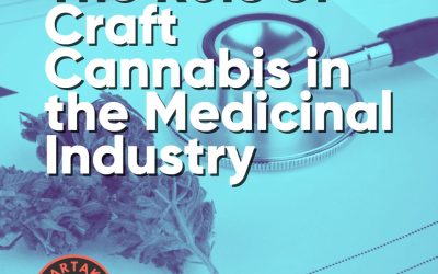 Craft Cannabis in the Medicinal Industry