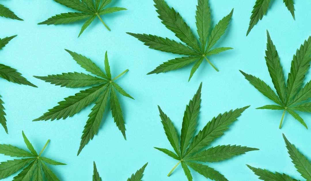 Comparing the Cannabis Industry to Other Industries