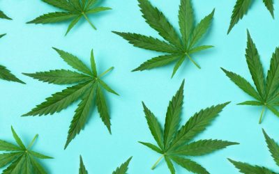 Comparing the Cannabis Industry to Other Industries