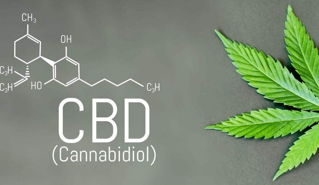 CBD vs. THC: Which One is More Medicinal?