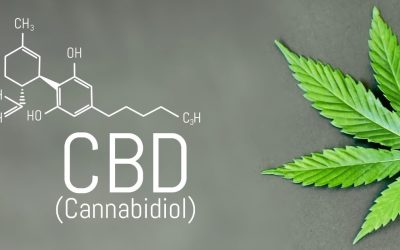 CBD vs. THC: Which One is More Medicinal?
