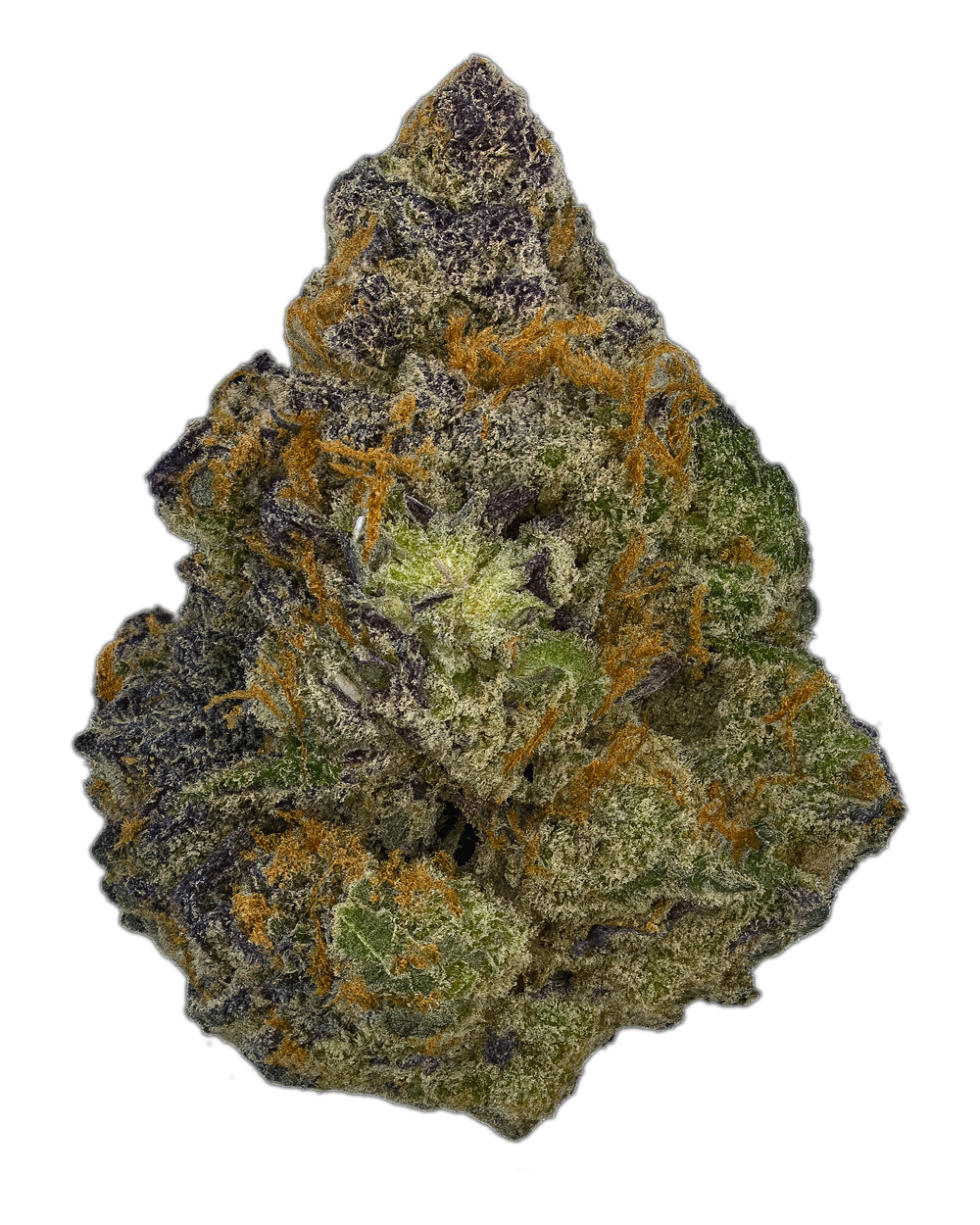 Unicorn Poop Bud Close-up