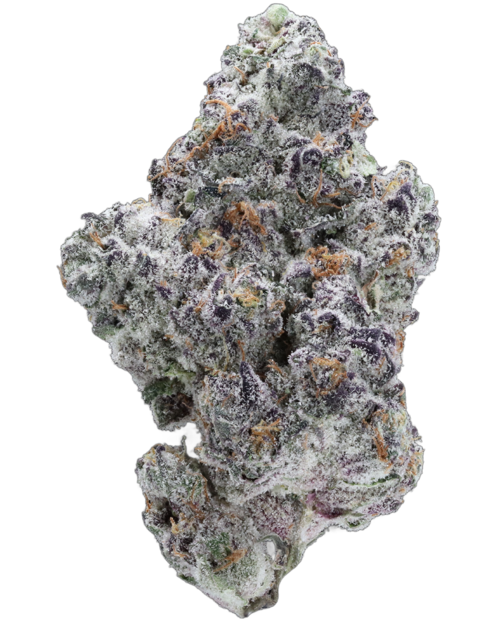 Pink Drip Bud Close-up